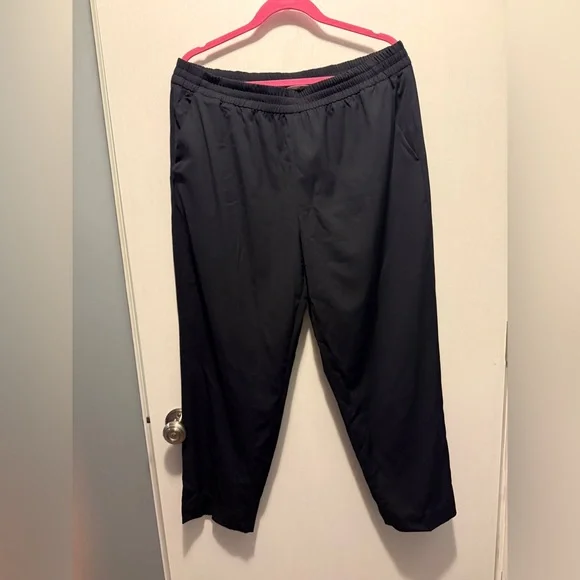 Everlane Italian GoWeave 100% Wool Pull-On Ankle Pant in Black - Size 16 - Picture 2 of 12